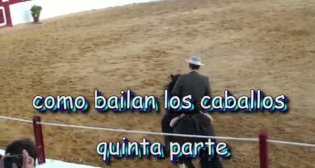 073 Villanueva de Alcardete como bailan los caballos 5.JPG